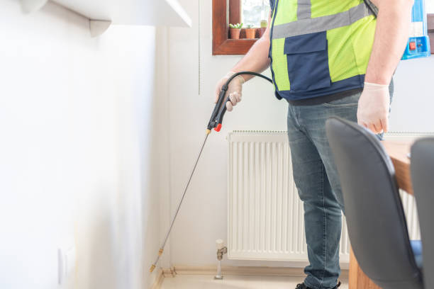 Best Flea Control Services  in Ivanhoe, CA