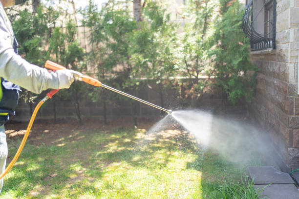 Best Affordable Pest Control Services  in Ivanhoe, CA