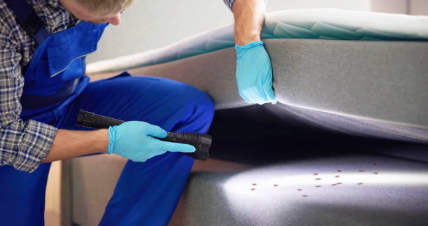 Best Commercial Pest Control Services  in Ivanhoe, CA