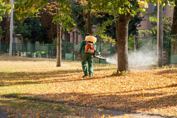 Best Ant Control Services  in Ivanhoe, CA