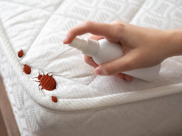 Ivanhoe, CA Pest Control Company