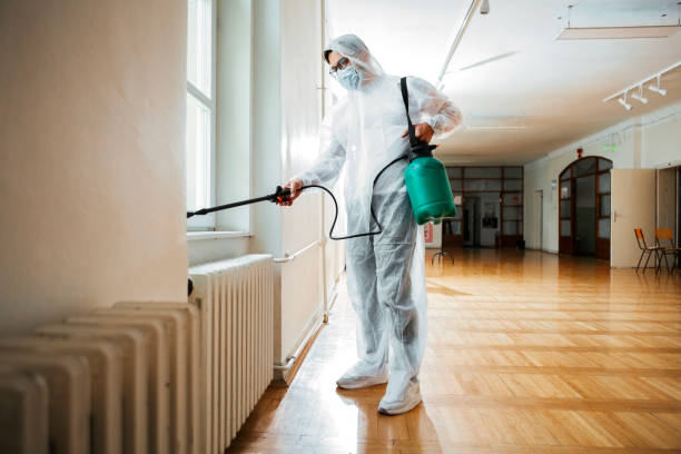 Best Best Pest Control Companies  in Ivanhoe, CA