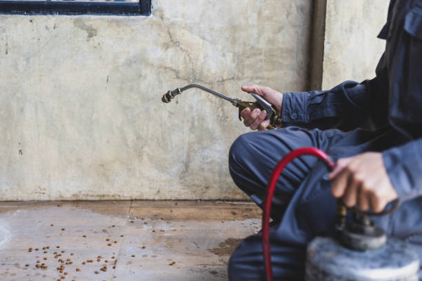 Best Pest Control Near Me  in Ivanhoe, CA